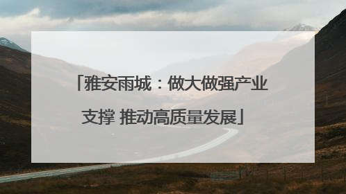 雅安雨城：做大做强产业支撑 推动高质量发展