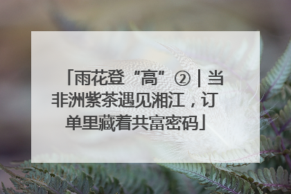 雨花登“高”②｜当非洲紫茶遇见湘江，订单里藏着共富密码