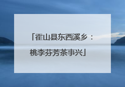 霍山县东西溪乡：桃李芬芳茶事兴