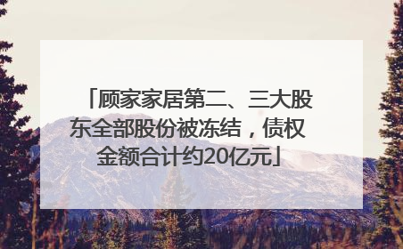 顾家家居第二、三大股东全部股份被冻结，债权金额合计约20亿元