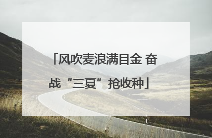 风吹麦浪满目金 奋战“三夏”抢收种