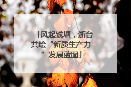 风起钱塘，浙台共绘“新质生产力”发展蓝图