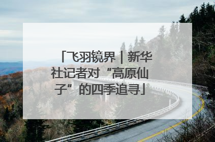 飞羽镜界|新华社记者对“高原仙子”的四季追寻