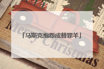马斯克抱怨成替罪羊