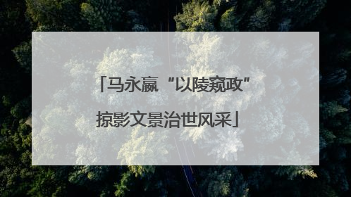 马永嬴“以陵窥政” 掠影文景治世风采