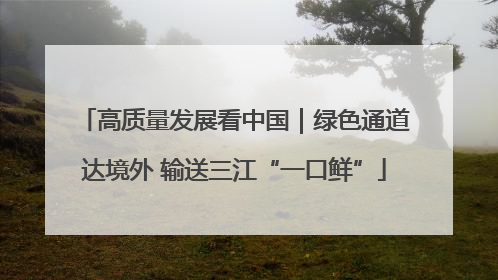 高质量发展看中国｜绿色通道达境外 输送三江“一口鲜”