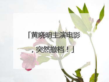 黄晓明主演电影，突然撤档！