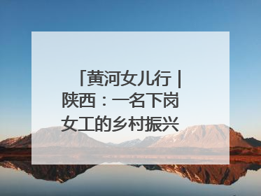 黄河女儿行｜陕西：一名下岗女工的乡村振兴“家政兵法”