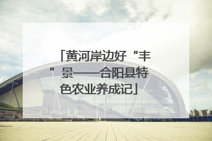 黄河岸边好“丰”景——合阳县特色农业养成记