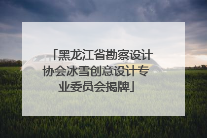 黑龙江省勘察设计协会冰雪创意设计专业委员会揭牌