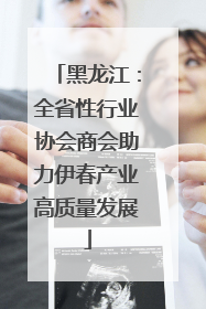 黑龙江：全省性行业协会商会助力伊春产业高质量发展