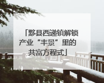 黟县西递镇解锁产业“丰景”里的共富方程式