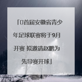 ﻿首届安徽省青少年足球联赛将于9月开赛 拟邀请赵鹏为先导赛开球
