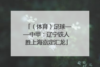 （体育）足球——中甲：辽宁铁人胜上海嘉定汇龙