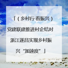 （乡村行·看振兴）党建联建推进村企结对 浙江遂昌实现乡村振兴“加速度”