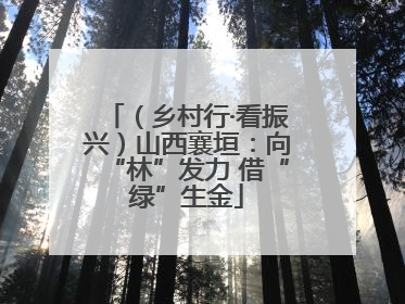 （乡村行·看振兴）山西襄垣：向“林”发力 借“绿”生金