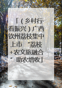 （乡村行·看振兴）广西钦州荔枝集中上市 “荔枝+农文旅融合”助农增收