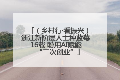 （乡村行·看振兴）浙江新阶层人士种蓝莓16载 盼用AI赋能“二次创业”
