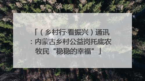 （乡村行·看振兴）通讯：内蒙古乡村公益岗托底农牧民“稳稳的幸福”