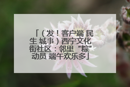（发！客户端 民生 城事）西宁文化街社区：邻里“粽”动员 端午欢乐多