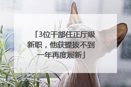 3位干部任正厅级新职，他获提拔不到一年再度履新