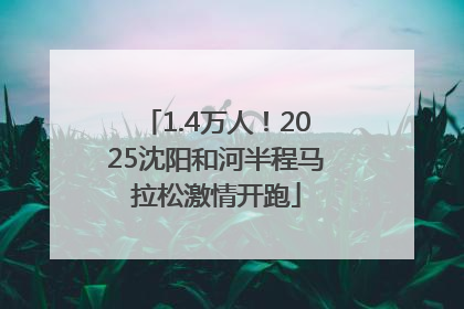 1.4万人！2025沈阳和河半程马拉松激情开跑