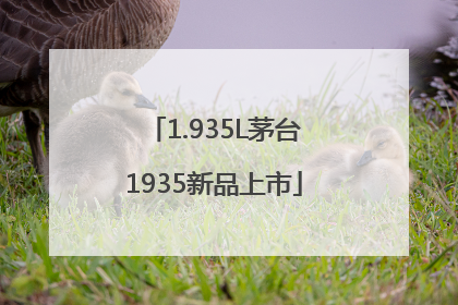 1.935L茅台1935新品上市