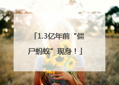 1.3亿年前“僵尸蚂蚁”现身！
