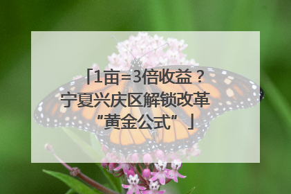 1亩=3倍收益？宁夏兴庆区解锁改革“黄金公式”