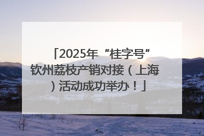 2025年“桂字号”钦州荔枝产销对接（上海）活动成功举办！