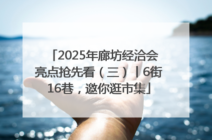 2025年廊坊经洽会亮点抢先看（三）丨6街16巷，邀你逛市集