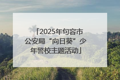 2025年句容市公安局“向日葵”少年警校主题活动