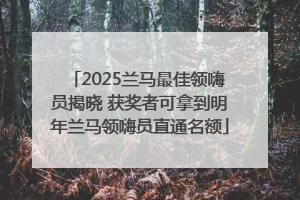 2025兰马最佳领嗨员揭晓 获奖者可拿到明年兰马领嗨员直通名额