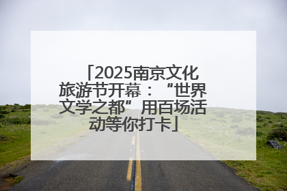 2025南京文化旅游节开幕：“世界文学之都”用百场活动等你打卡