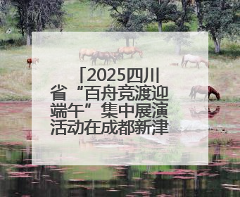 2025四川省“百舟竞渡迎端午”集中展演活动在成都新津举行