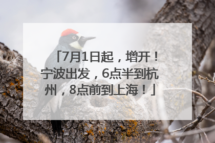 7月1日起，增开！宁波出发，6点半到杭州，8点前到上海！