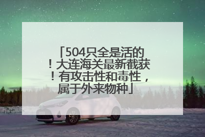 504只全是活的！大连海关最新截获！有攻击性和毒性，属于外来物种