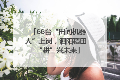 66台“田间机器人”上岗，泗阳稻田“耕”兴未来