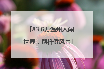 83.6万温州人闯世界，别样侨风景